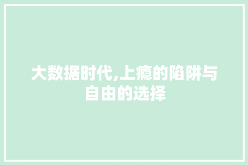 大数据时代,上瘾的陷阱与自由的选择