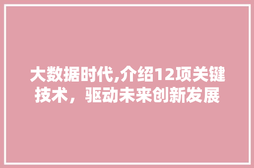 大数据时代,介绍12项关键技术，驱动未来创新发展