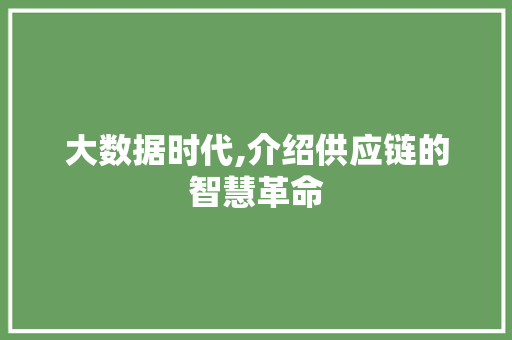 大数据时代,介绍供应链的智慧革命