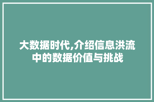 大数据时代,介绍信息洪流中的数据价值与挑战 必应SEO