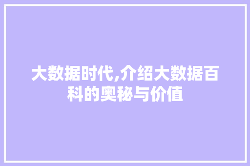 大数据时代,介绍大数据百科的奥秘与价值 SEO关键词