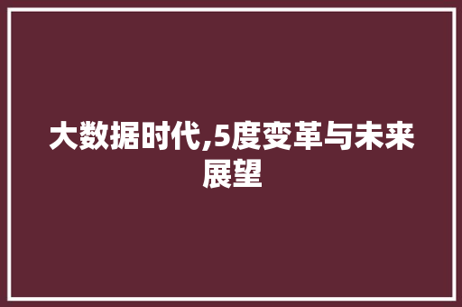 大数据时代,5度变革与未来展望