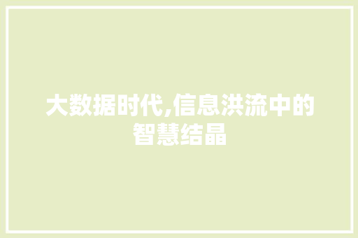 大数据时代,信息洪流中的智慧结晶