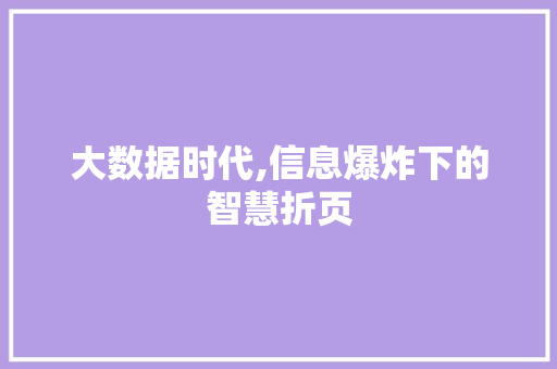 大数据时代,信息爆炸下的智慧折页