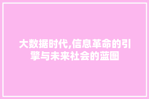大数据时代,信息革命的引擎与未来社会的蓝图
