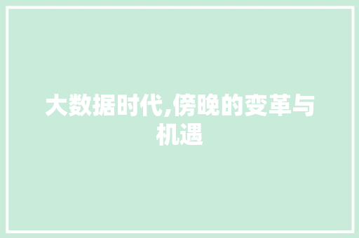 大数据时代,傍晚的变革与机遇