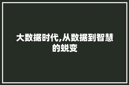 大数据时代,从数据到智慧的蜕变