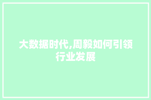 大数据时代,周毅如何引领行业发展
