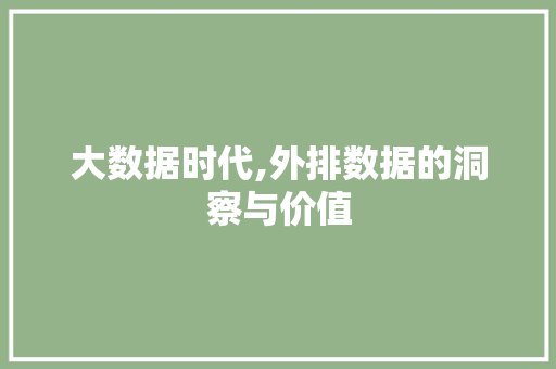 大数据时代,外排数据的洞察与价值