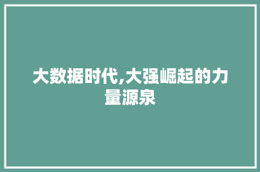 大数据时代,大强崛起的力量源泉 网站建设公司