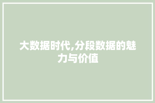 大数据时代,分段数据的魅力与价值 百度SEO