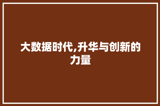 大数据时代,升华与创新的力量 网站建设公司