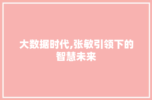 大数据时代,张敏引领下的智慧未来