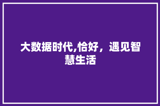 大数据时代,恰好，遇见智慧生活