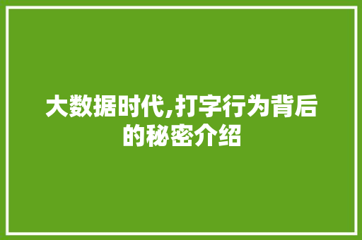 大数据时代,打字行为背后的秘密介绍 必应SEO