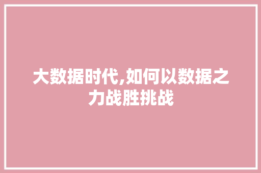 大数据时代,如何以数据之力战胜挑战