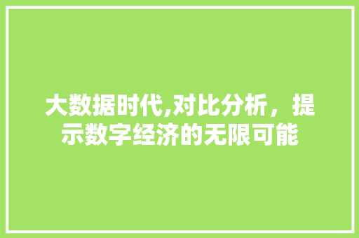 大数据时代,对比分析，提示数字经济的无限可能
