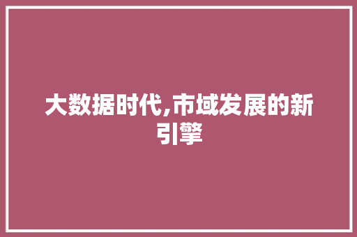 大数据时代,市域发展的新引擎