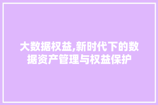大数据权益,新时代下的数据资产管理与权益保护 搜狗SEO