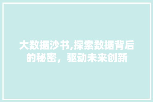 大数据沙书,探索数据背后的秘密，驱动未来创新 神马SEO
