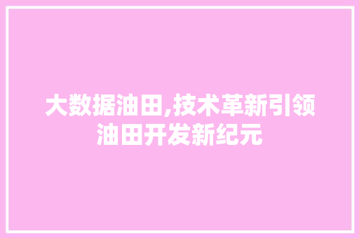 大数据油田,技术革新引领油田开发新纪元 百度SEO