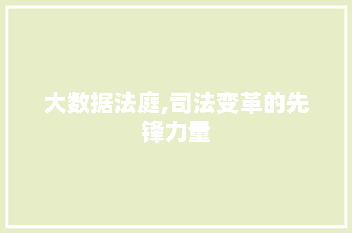 大数据法庭,司法变革的先锋力量 神马SEO