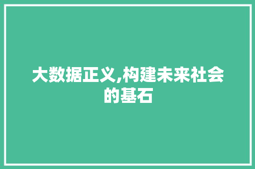 大数据正义,构建未来社会的基石 神马SEO