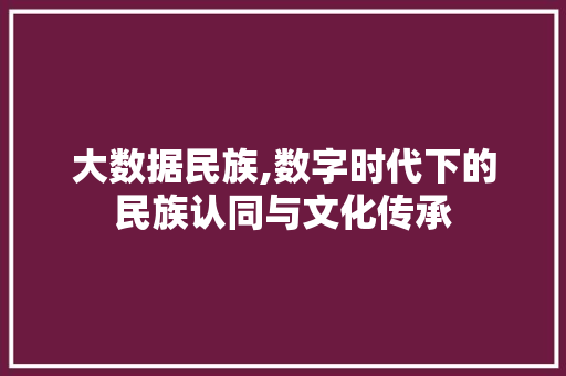 大数据民族,数字时代下的民族认同与文化传承