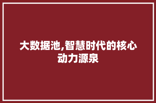 大数据池,智慧时代的核心动力源泉 网站建设公司
