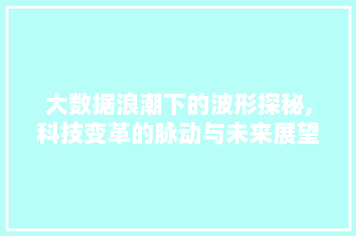 大数据浪潮下的波形探秘,科技变革的脉动与未来展望 必应SEO