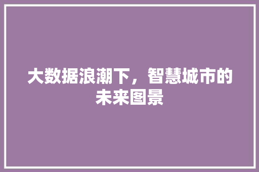 大数据浪潮下，智慧城市的未来图景