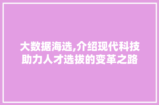 大数据海选,介绍现代科技助力人才选拔的变革之路