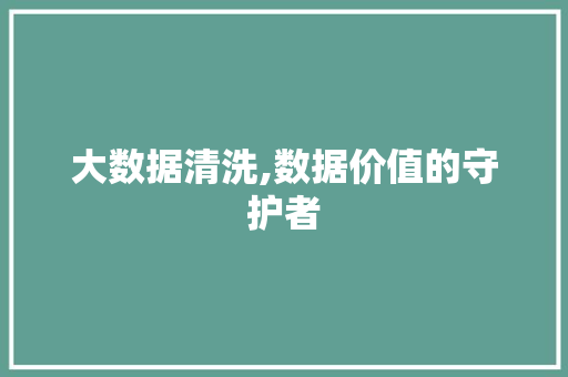 大数据清洗,数据价值的守护者