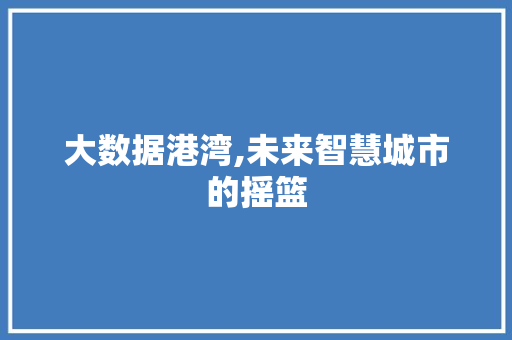 大数据港湾,未来智慧城市的摇篮