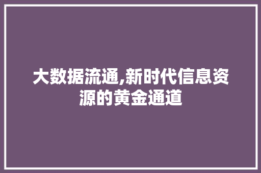 大数据流通,新时代信息资源的黄金通道 网站建设公司