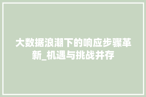 大数据浪潮下的响应步骤革新_机遇与挑战并存