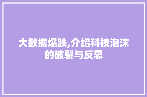 大数据爆跌,介绍科技泡沫的破裂与反思