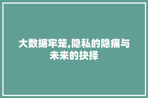 大数据牢笼,隐私的隐痛与未来的抉择