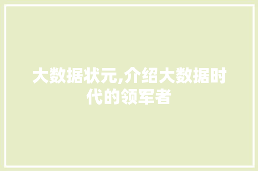 大数据状元,介绍大数据时代的领军者