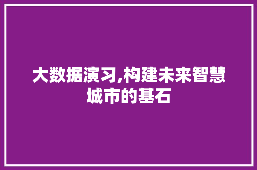 大数据演习,构建未来智慧城市的基石
