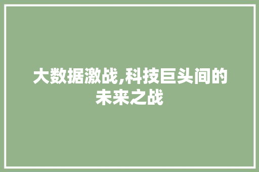 大数据激战,科技巨头间的未来之战
