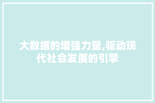 大数据的增强力量,驱动现代社会发展的引擎 神马SEO