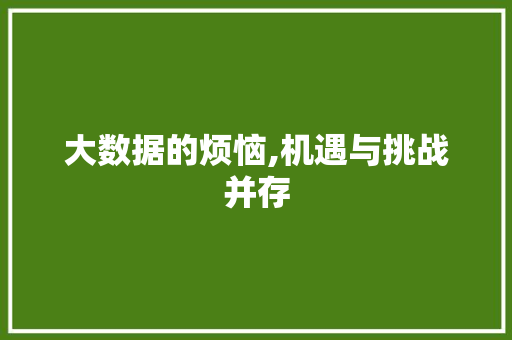 大数据的烦恼,机遇与挑战并存