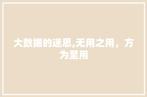 大数据的迷思,无用之用，方为至用