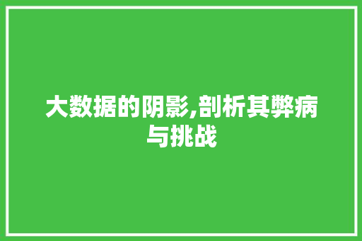 大数据的阴影,剖析其弊病与挑战