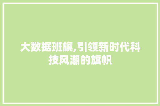 大数据班旗,引领新时代科技风潮的旗帜