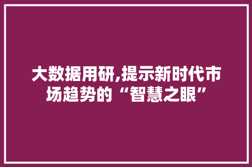 大数据用研,提示新时代市场趋势的“智慧之眼”
