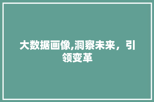 大数据画像,洞察未来，引领变革