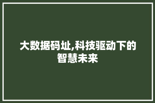 大数据码址,科技驱动下的智慧未来