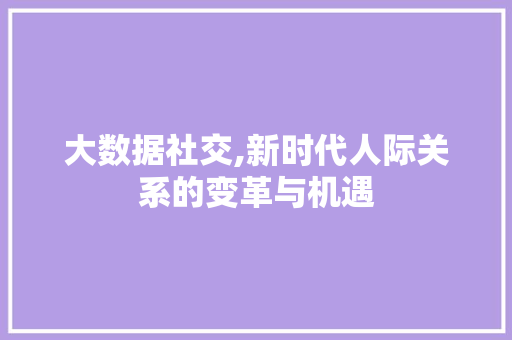 大数据社交,新时代人际关系的变革与机遇
